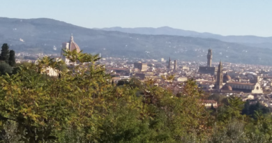 Luoghi per foto panoramiche a Firenze?